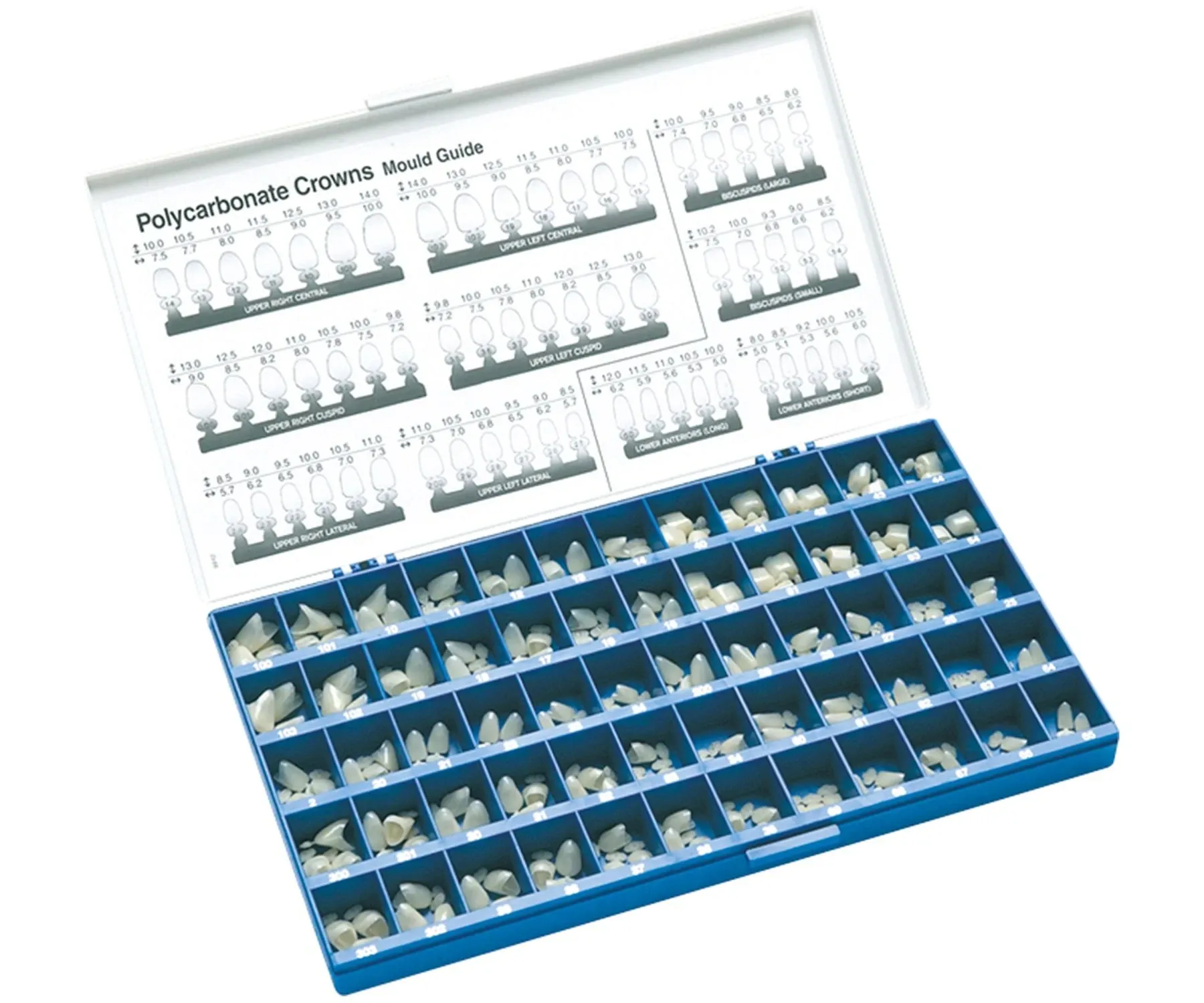 Polycarbonatkronen OK links, seitliche Schneidezähne Nr. 29, Pckg. 5 Stück